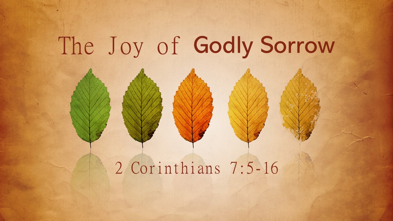 The Joy of Godly Sorrow Image