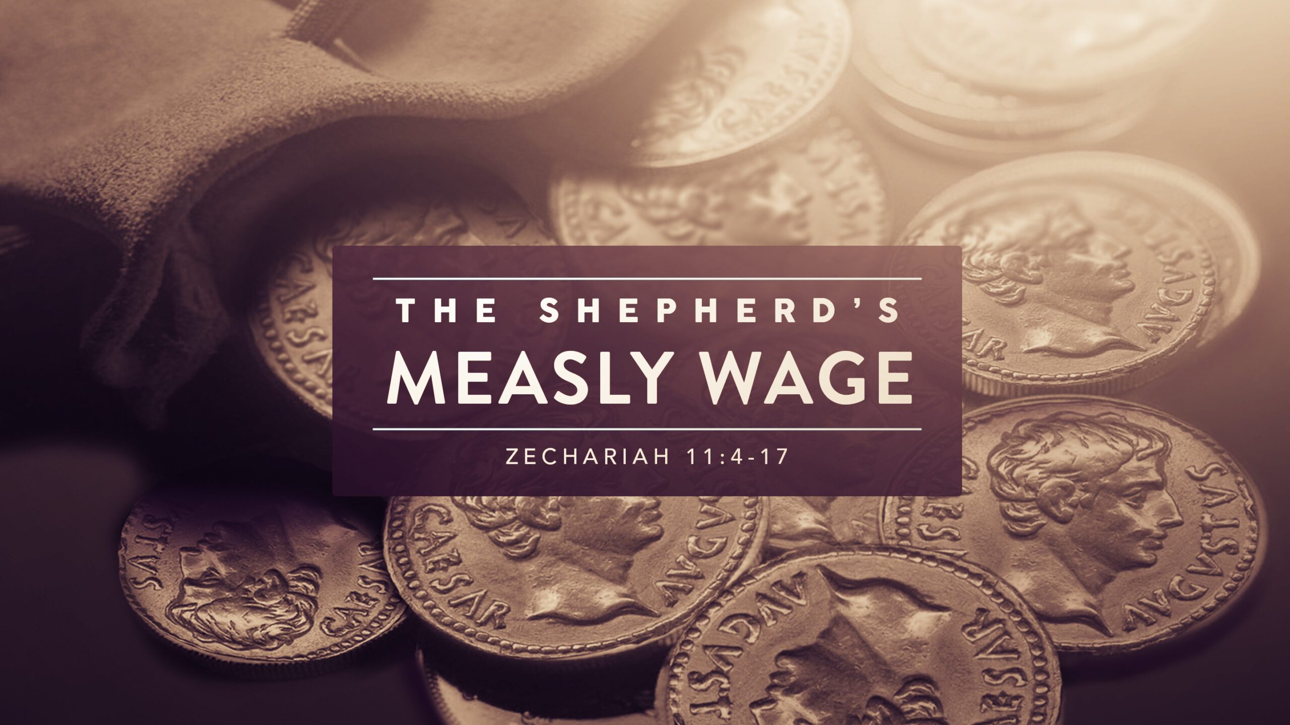 The Sheperd\'s Measly Wage