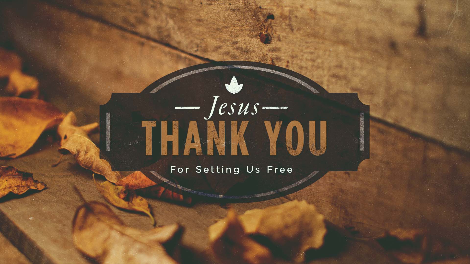 Jesus, Thank You for Setting Us Free
