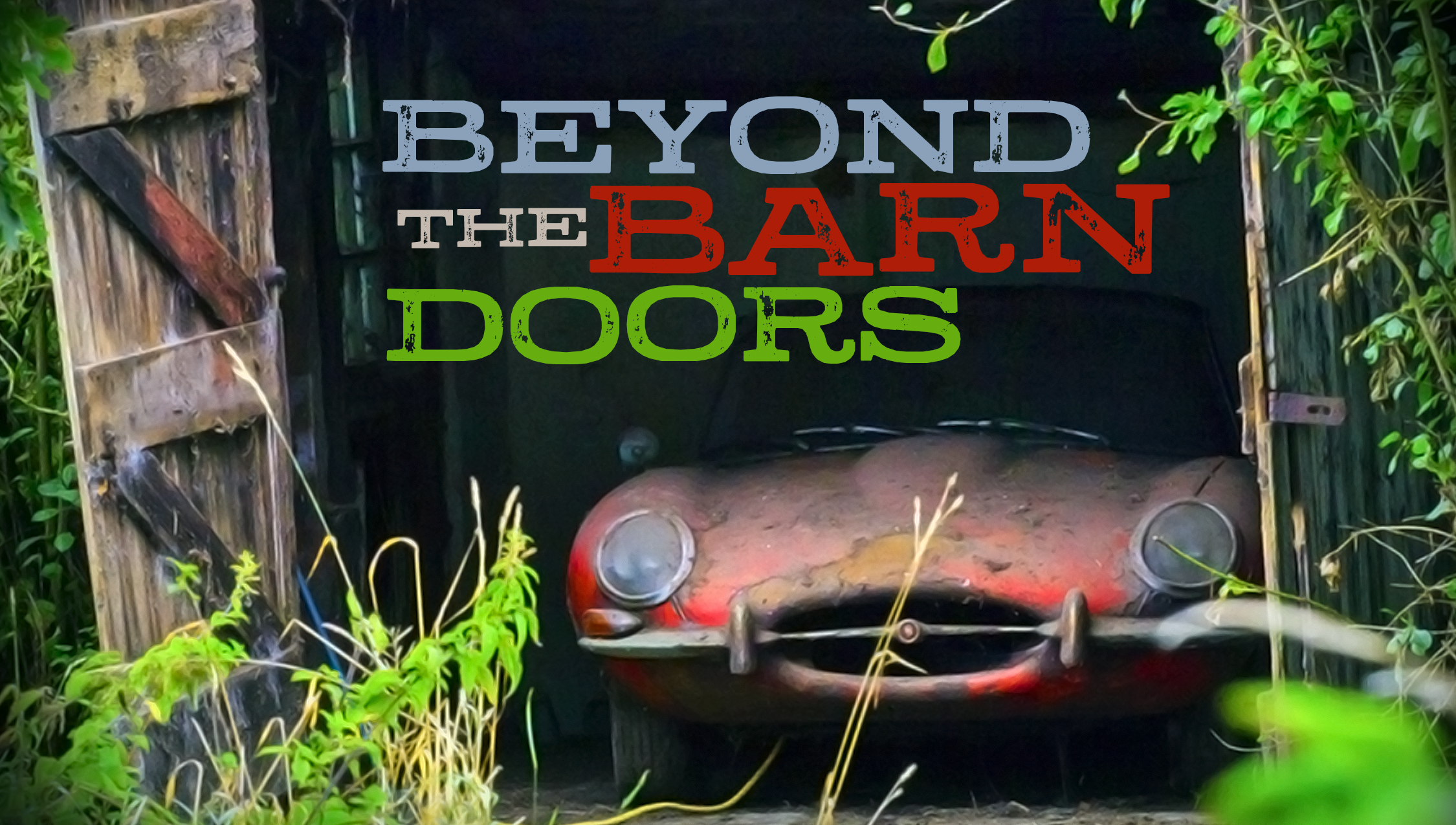 Beyond the Barn Door Image