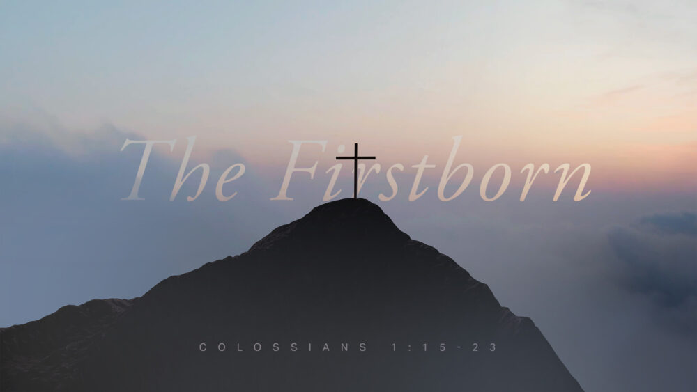 The Firstborn Image