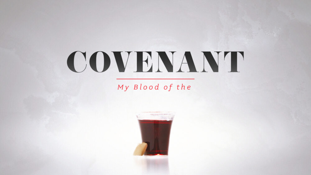 My Blood of the Covenant Image
