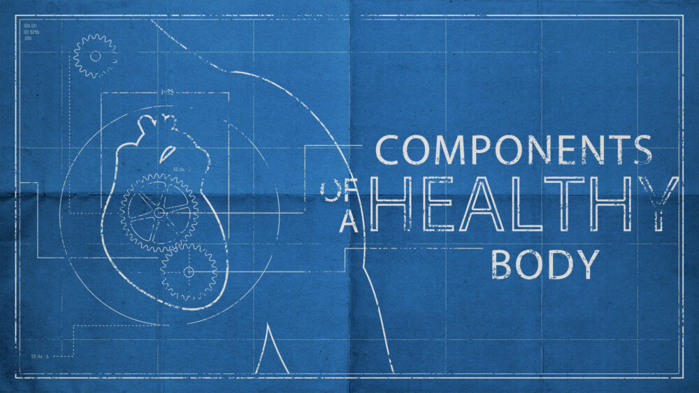 Components of a Healthy Body