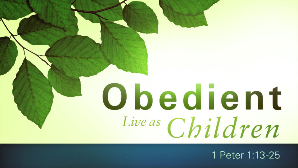 Live as Obedient Children Image