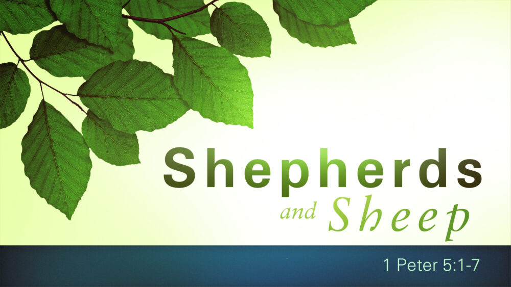 Shepherds and Sheep Image