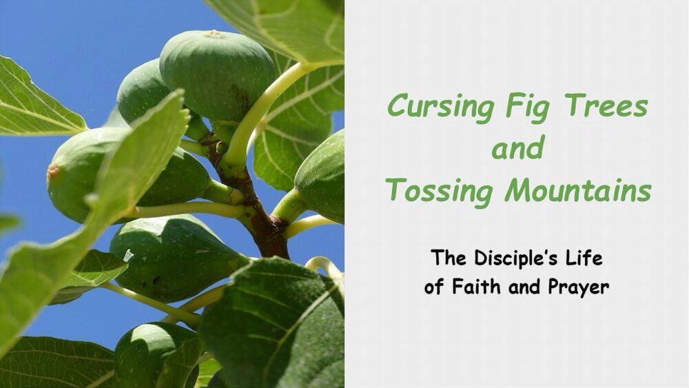 Cursing Fig Trees and Tossing Mountains Image