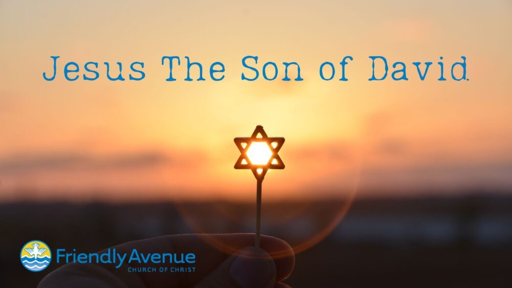 Jesus, the Son of David